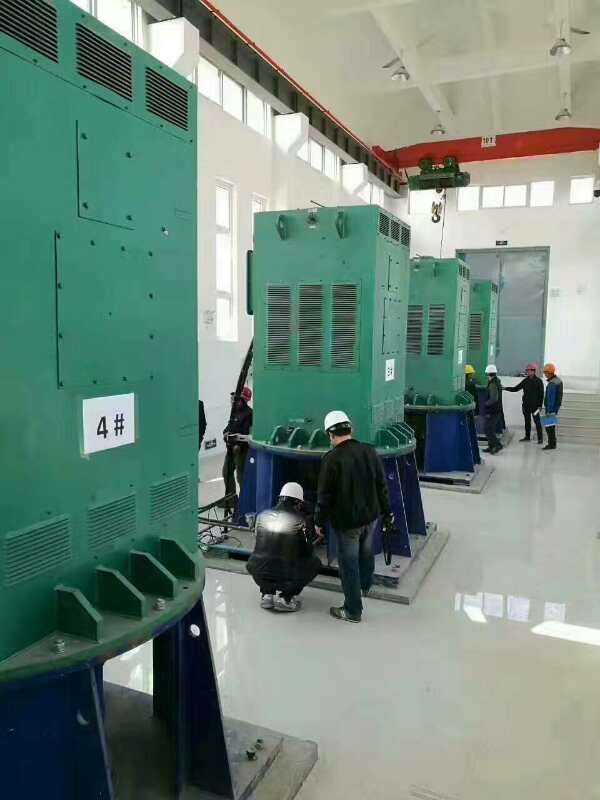 昂仁某污水处理厂使用我厂的立式高压电机安装现场