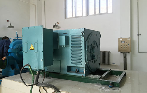 昂仁某水电站工程主水泵使用我公司高压电机